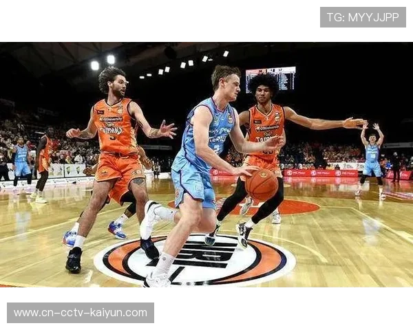 澳篮联伊拉瓦拉老鹰对阵凯恩斯毒蛇，让分与大小分受关注